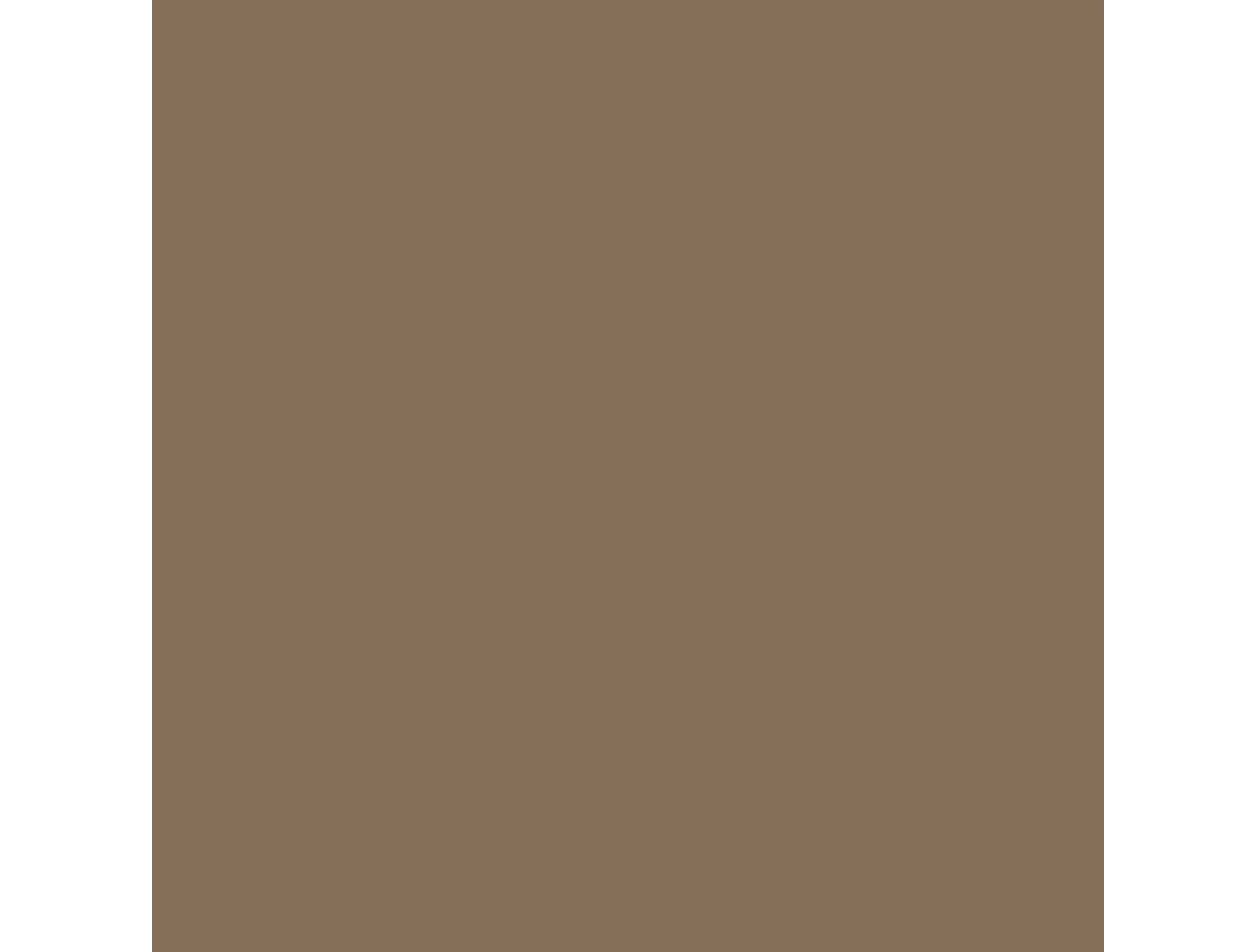 Good Brow Day Waterproof Tinted Brow Gel